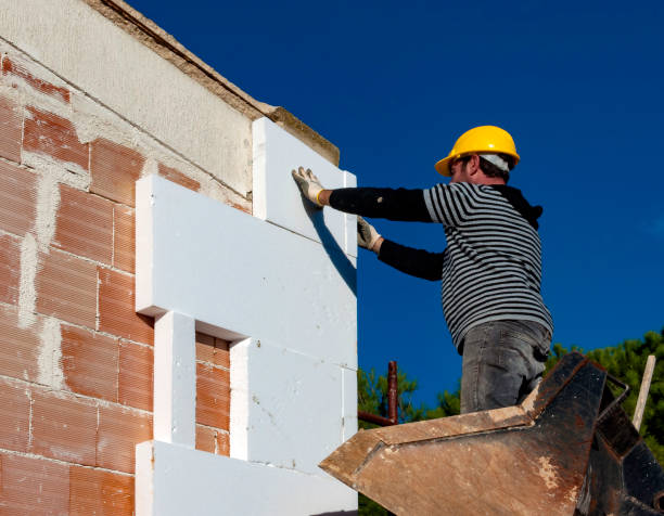 Best Cellulose Insulation in Alachua, FL