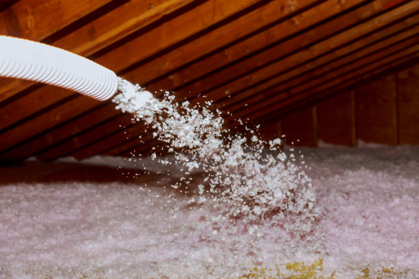 Best Insulation Maintenance and Repair in Alachua, FL