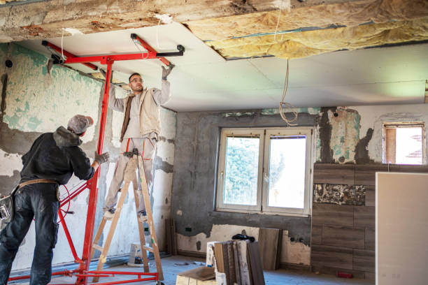 Best Geographic-Specific Insulation Services in Alachua, FL