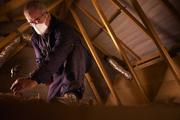 Best Geographic-Specific Insulation Services in Alachua, FL